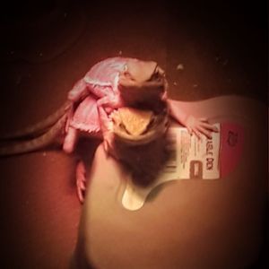 Meet your Posher, Dylan